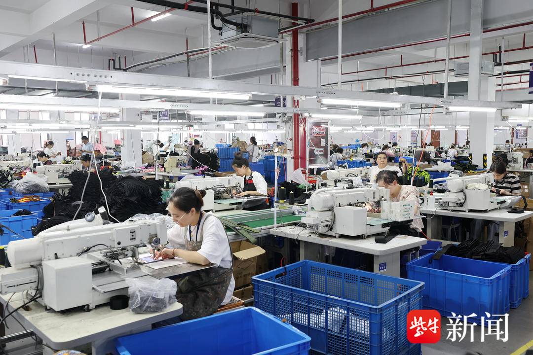 育产业快速, 品牌知名度