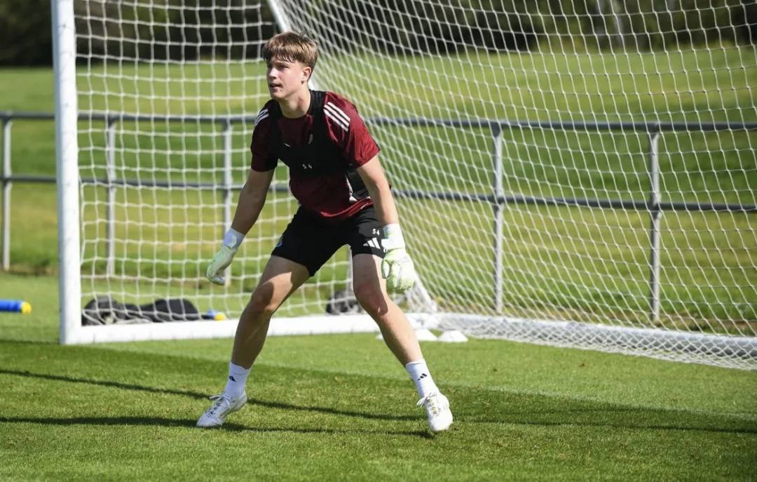 jpeg, 雅努什, 置容错率太 jpeg, 雅努什, 置容错率太